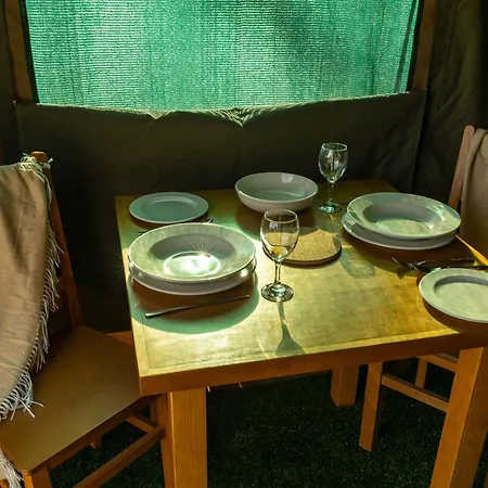 Safari Glamping Portugal Parrot *