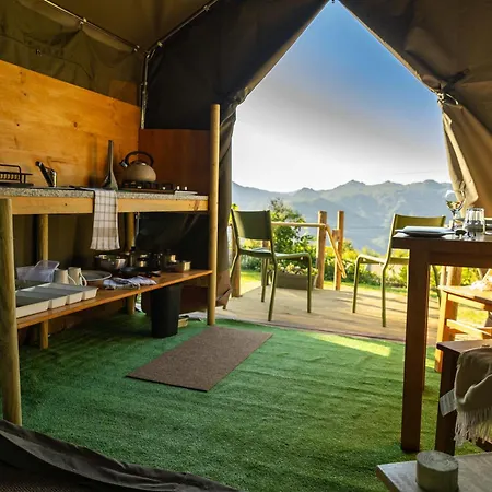 Safari Glamping Portugal Parrot *