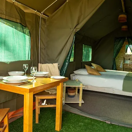 럭셔리텐트 Safari Glamping Portugal Parrot Ventosa (Braga)