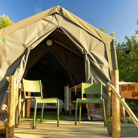 Safari Glamping Portugal Parrot