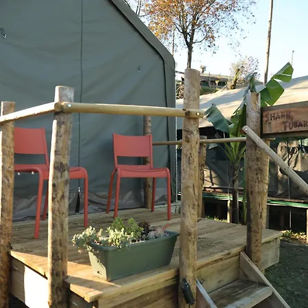 Safari Glamping Portugal Parrot *