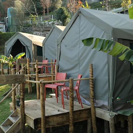 Safari Glamping Portugal Parrot Ventosa (Braga)