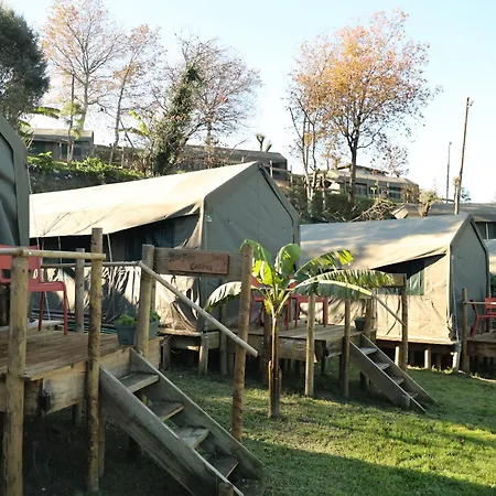 Safari Glamping Portugal Parrot 럭셔리텐트 Ventosa (Braga)