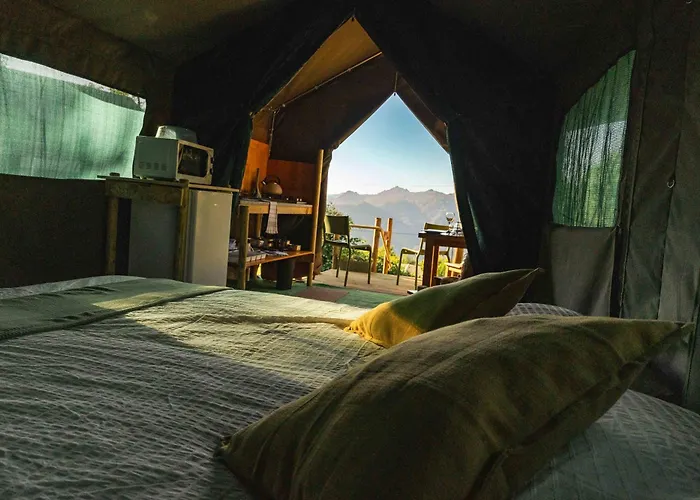 Safari Glamping Portugal Parrot *