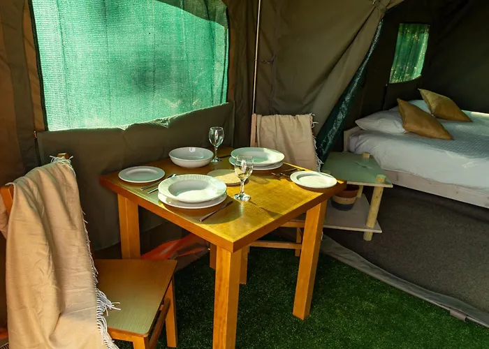 Safari Glamping Portugal Parrot 럭셔리텐트