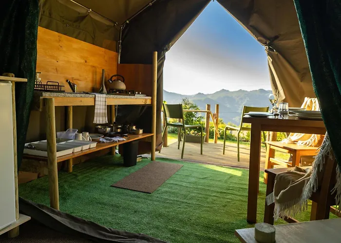 Safari Glamping Portugal Parrot *