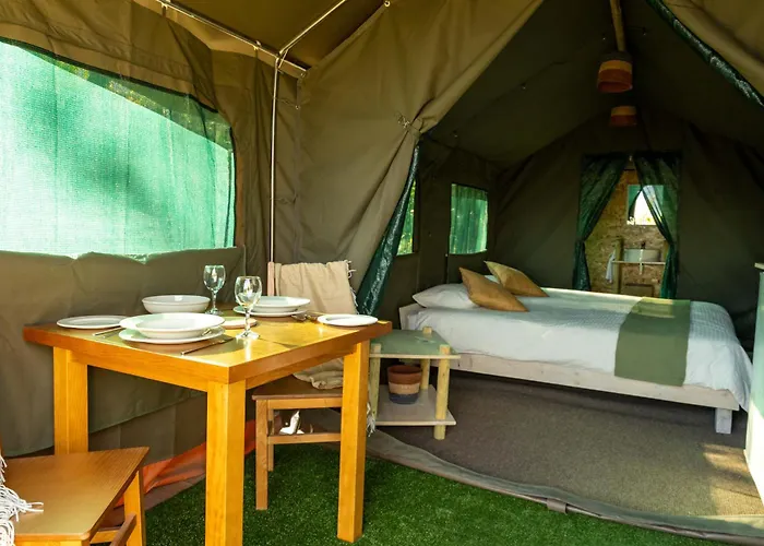 럭셔리텐트 Safari Glamping Portugal Parrot Ventosa (Braga)