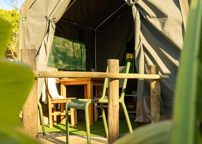 Safari Glamping Portugal Parrot