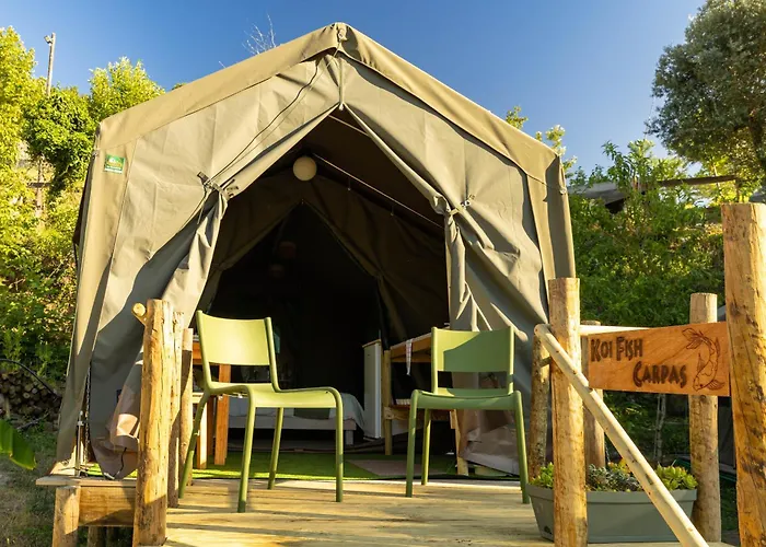 Safari Glamping Portugal Parrot